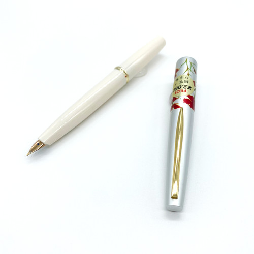 Penna stilografica vintage