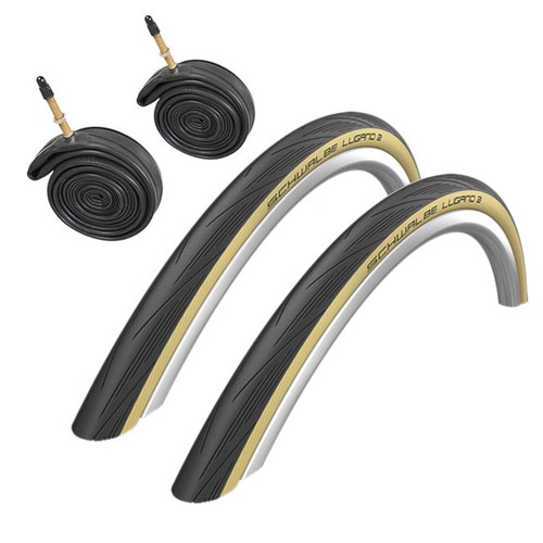 Coppia schwalbe lugano - coppia, 2