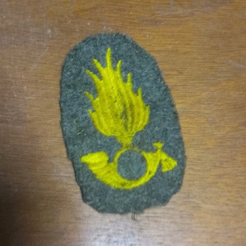 Regio esercito regia - regio,