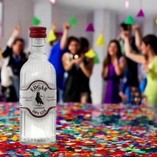 GIN LONDON DRY LIQUORI MINI