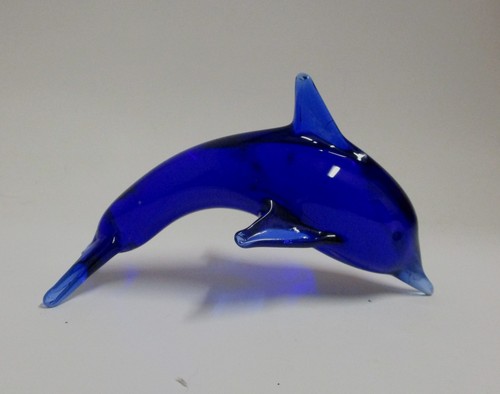 Splendido 1 delfino - ✅, 1°delfino