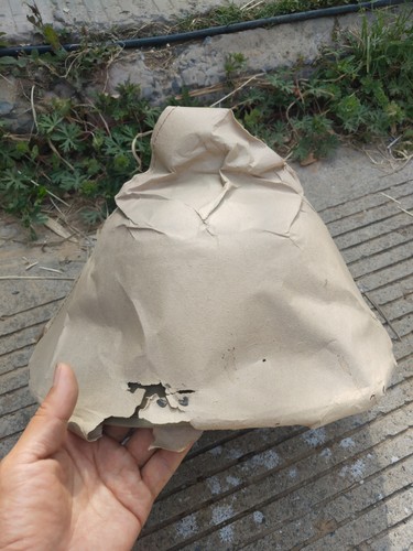 Casco grande taglia - taglia, 2