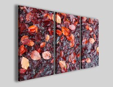 Quadri autunno Tappeto di