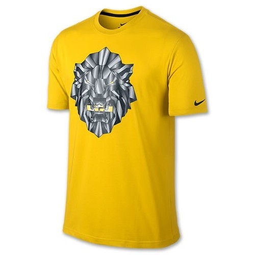 Nike lebron james fan - lebron,