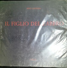 Il figlio del fabbro