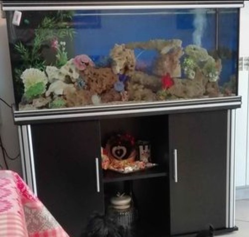Acquario 130lt con mobile - acquario, 130lt,