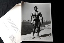 HERCULE   photo presse body