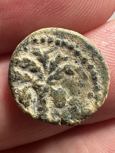 Antica moneta seleucide