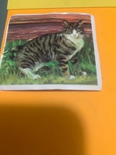 FIGURINA N.4 IL MONDO DEGLI