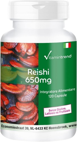 Fungo reishi ganoderma lucidum - reishi,