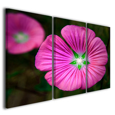 Fulcrum Green Colorful Flower