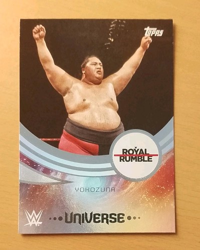 2025 topps universe wwe - topps,