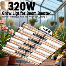 320 W con lampada da