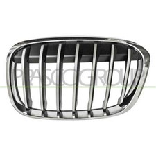 Griglia Radiatore Sinistra Bmw