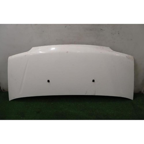 Cofano ant fiat ducato - fiat,