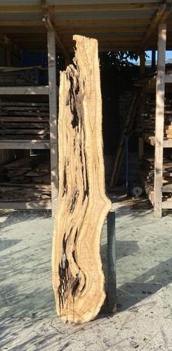 Tavola legno ulivo 165 x - tavola,