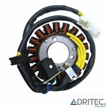 ✅ Alternatore Statore Hyosung GV 250 Aquila GV250 (2012-2015)