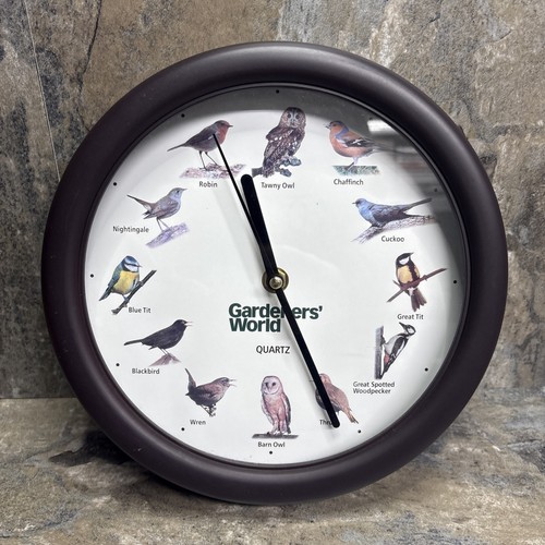 Singing birds wall - singing, 9.5