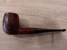 Pipa comoy tradition - pipa,