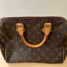 Louis Vuitton Monogram Speedy