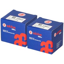 2 pistoni AUTOFREN SEINSA