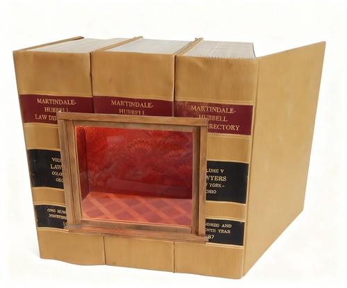 Scatola libro camera - , shannon