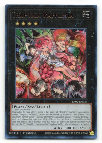 Traptrix rafflesia - traptrix,
