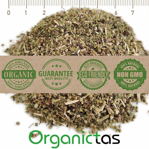 Artemisia annua tea benefici - artemisia,