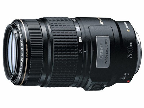 Canon 300 4 5 6 - mm, is
