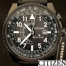 Orologio Uomo Citizen