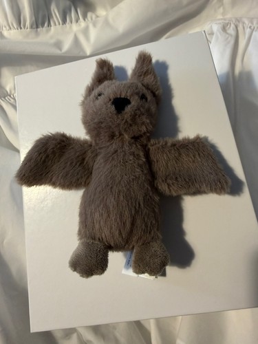 Raro pipistrello soffice
