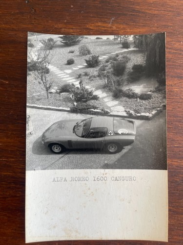Alfa romeo 1600 canguro - ,