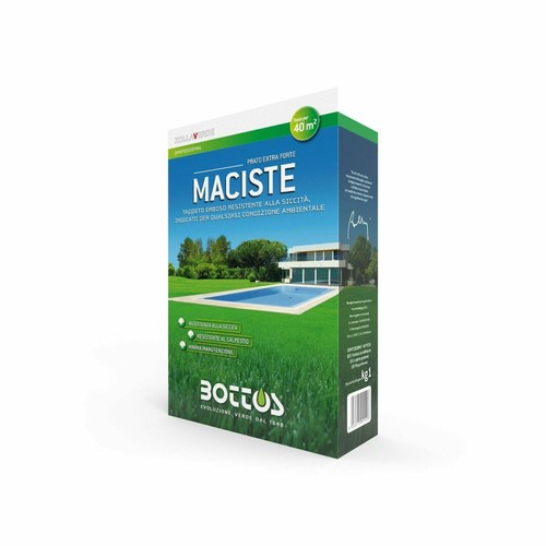 Zollaverde maciste 1kg semente