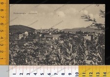 24976] LA SPEZIA  - AMEGLIA -