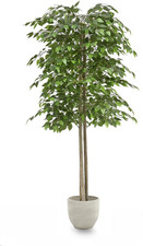Ficus Artificiale 180 Cm