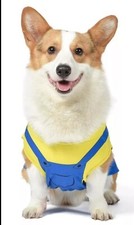 Minions L'Ascesa di Gru