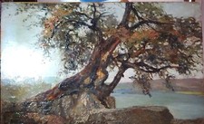 Dipinto Castel Gandolfo Inizi