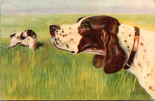 Cartolina firmata artista cani