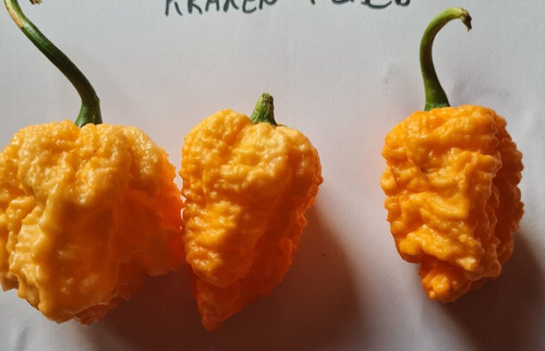 Kraken peach polvere - peach,