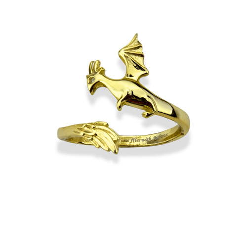 Anello quarta ala andarna - ala,