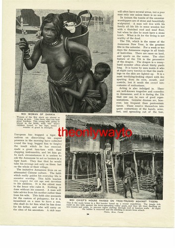 Moi donna dankia chiefs - di, &