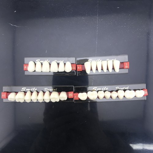 28pz 503 protesi resina - 503,