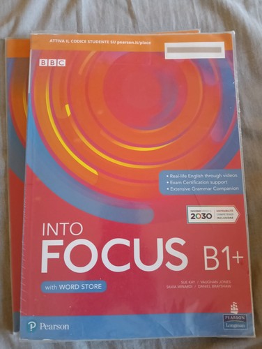 Libri scolastici into focus - libri,