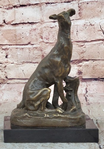 Greyhound ritirato rescued - greyhound,