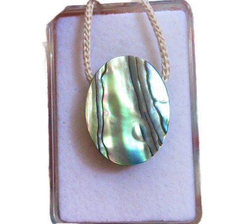 Paua conchiglia abalone