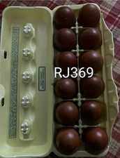French Black Copper Marans