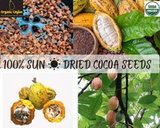 SEMI DI CACAO SECCO 100%