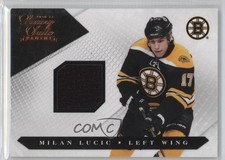 Maglia 2010 panini - 2010-11,