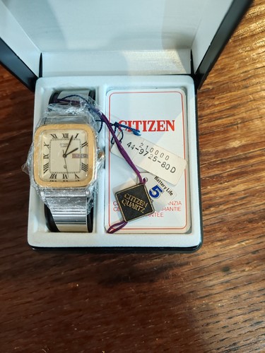Citizen 1981