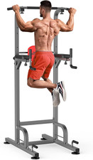 Power Tower Workout Dip